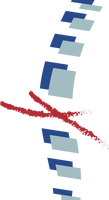 Wirbelsäulenzentrum Worms